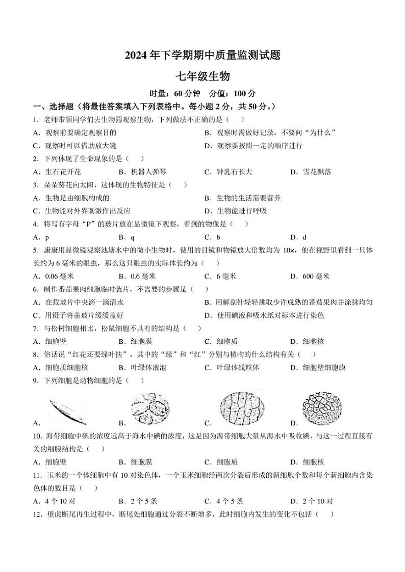 湖南省岳阳市岳阳县2024～2025学年七年级(上)期中生物试卷(含答案)第1页