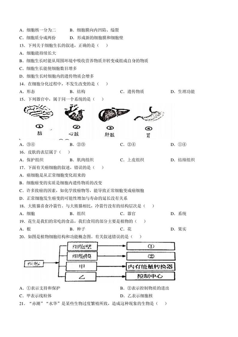 湖南省岳阳市岳阳县2024～2025学年七年级(上)期中生物试卷(含答案)第2页