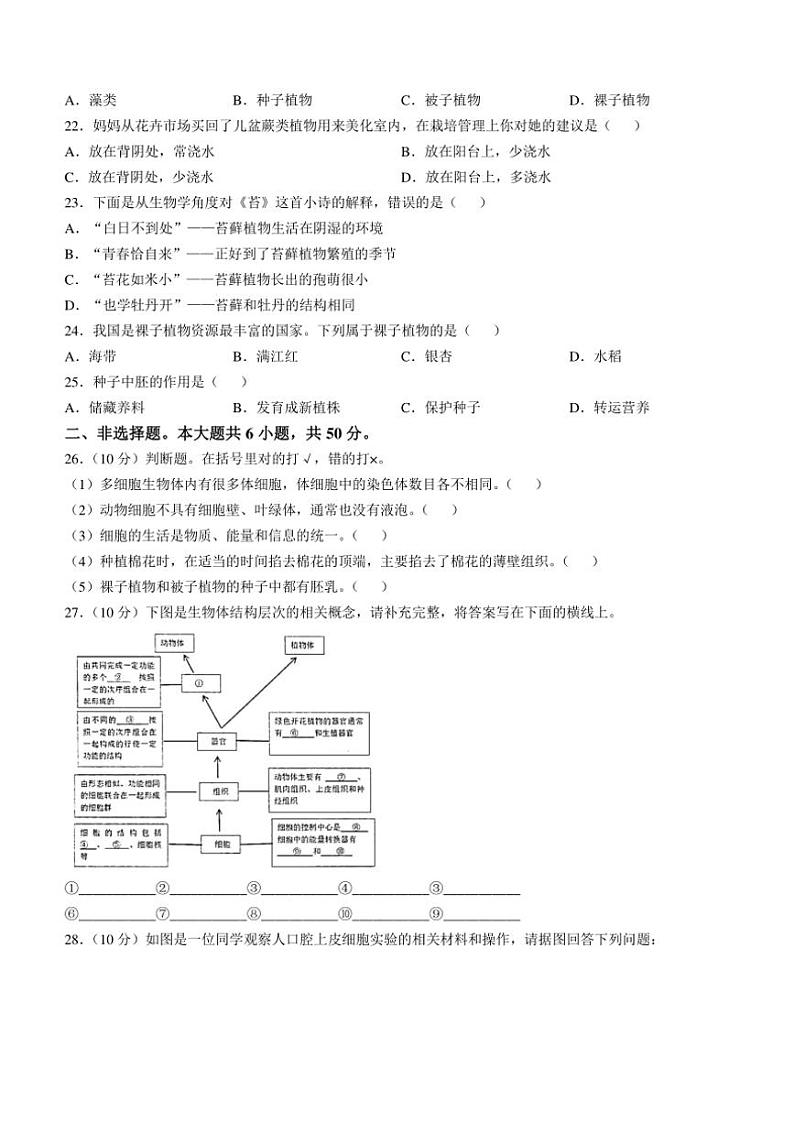湖南省岳阳市岳阳县2024～2025学年七年级(上)期中生物试卷(含答案)第3页