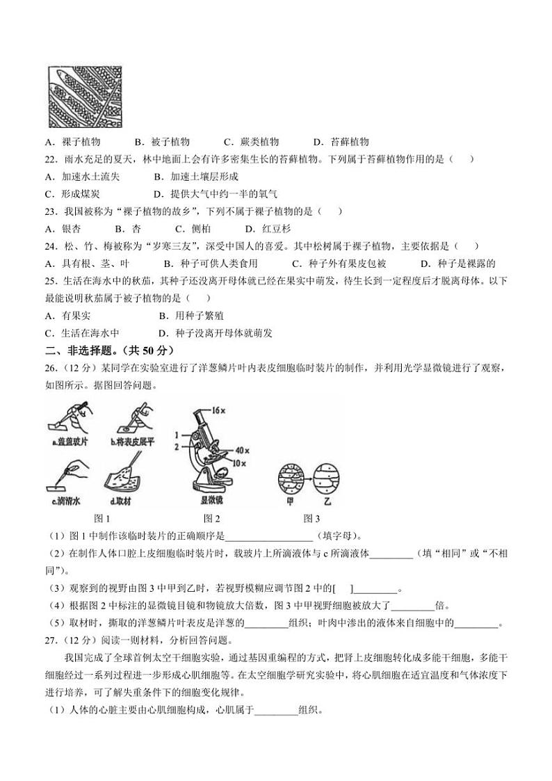 山东省德州市宁津县第四实验中学多校2024～2025学年七年级(上)期中生物试卷(含答案)第3页