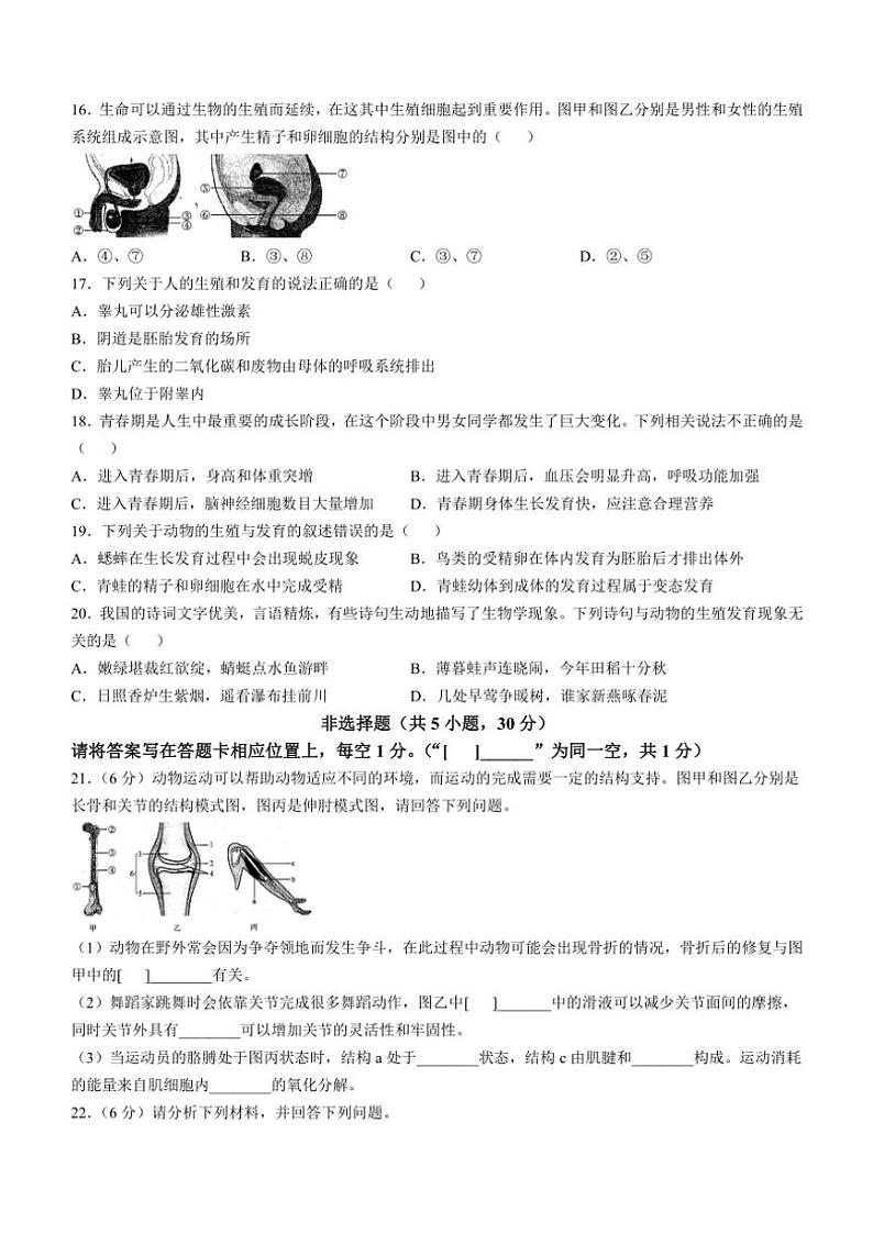 河南省商丘市2024～2025学年七年级(上)期中生物试卷(含答案)第3页