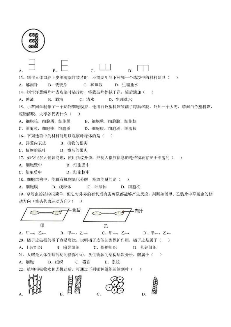 福建省泉州市晋江市三校2024～2025学年七年级(上)期中生物试卷(含答案)02