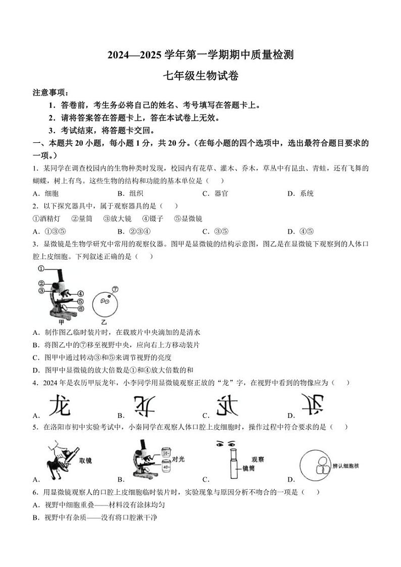 河南省洛阳市宜阳县2024～2025学年七年级(上)期中生物试卷(含答案)01