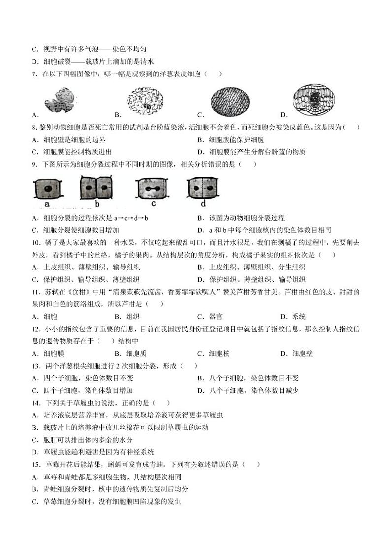 河南省洛阳市宜阳县2024～2025学年七年级(上)期中生物试卷(含答案)02