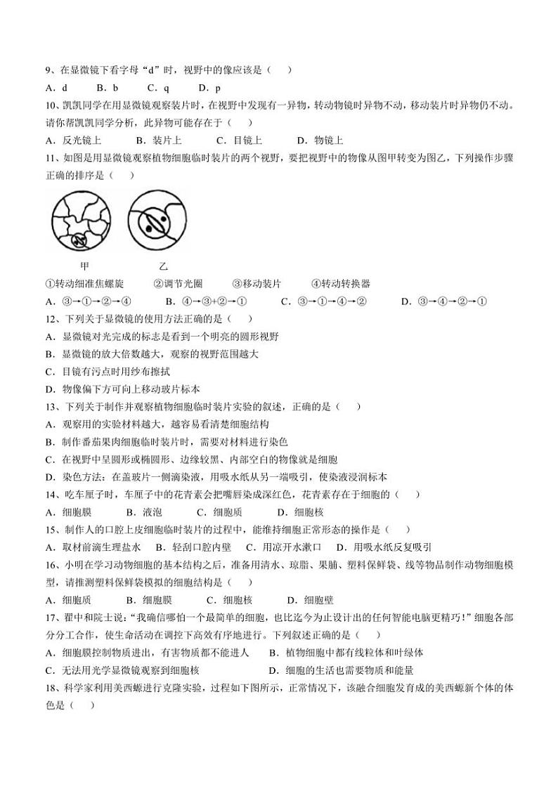 湖南省衡阳市蒸湘区联合考试2024～2025学年七年级(上)期中生物试卷(含答案)第2页