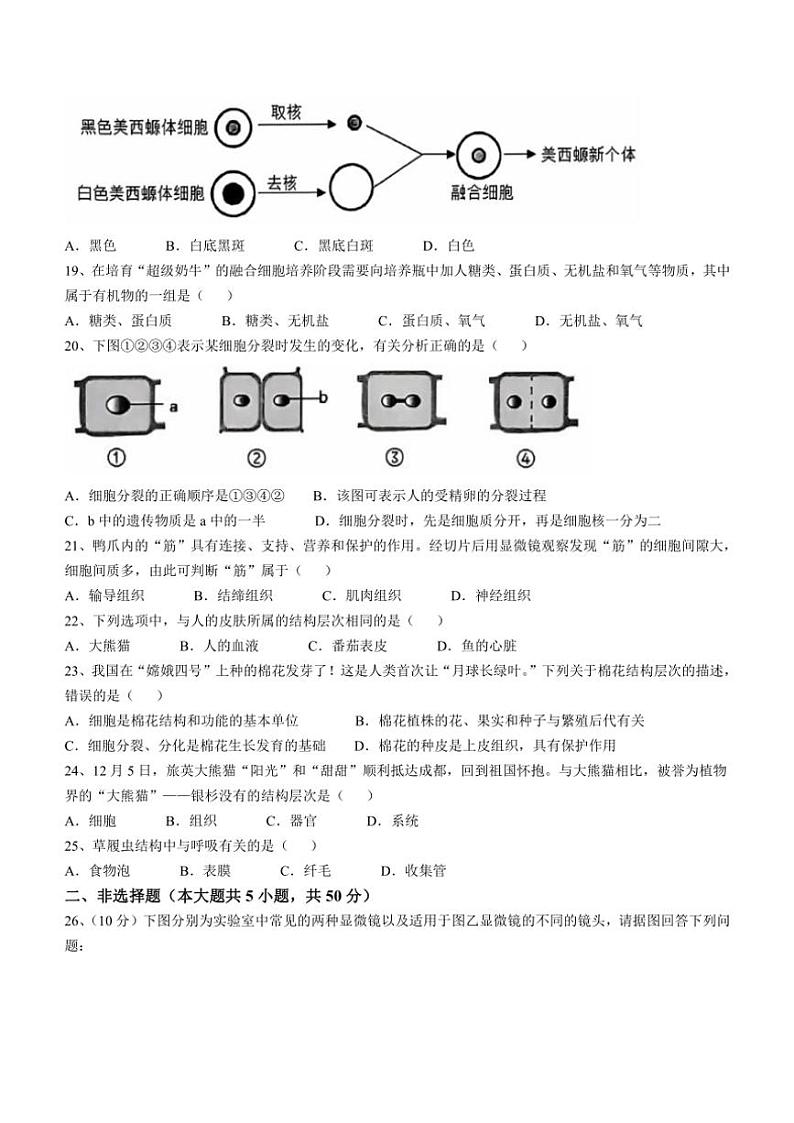 湖南省衡阳市蒸湘区联合考试2024～2025学年七年级(上)期中生物试卷(含答案)第3页