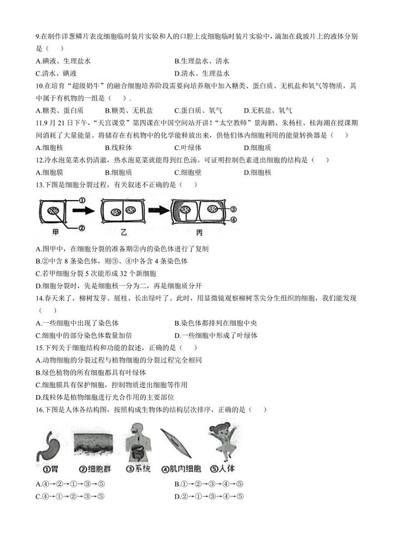 河南省南阳市社旗县2024～2025学年七年级(上)期中生物试卷(含答案)第2页