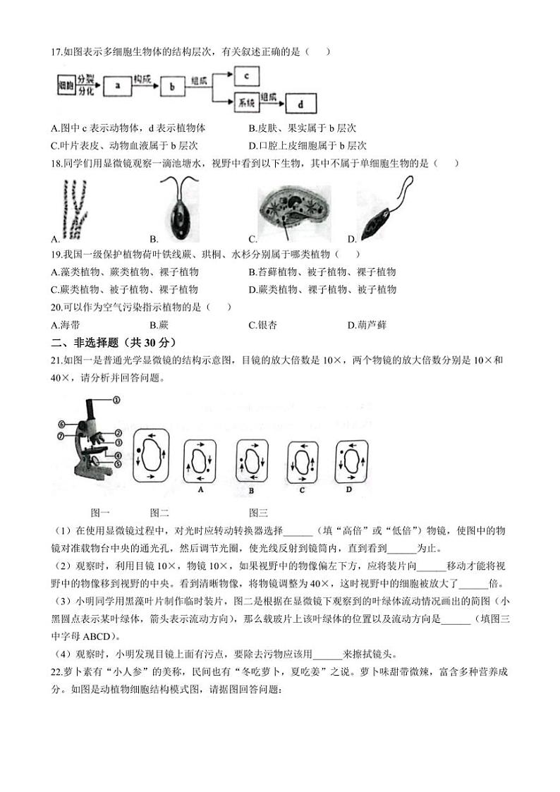 河南省南阳市社旗县2024～2025学年七年级(上)期中生物试卷(含答案)第3页