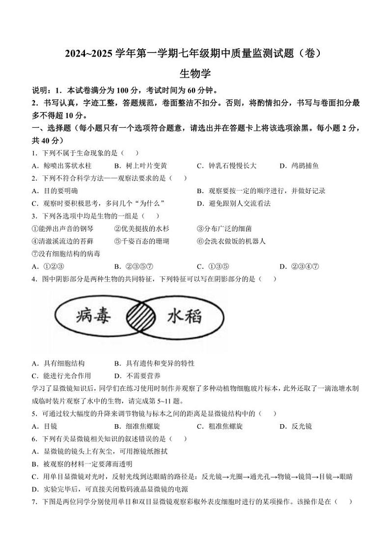 山西省吕梁市孝义市2024～2025学年七年级(上)期中生物试卷(含答案)01