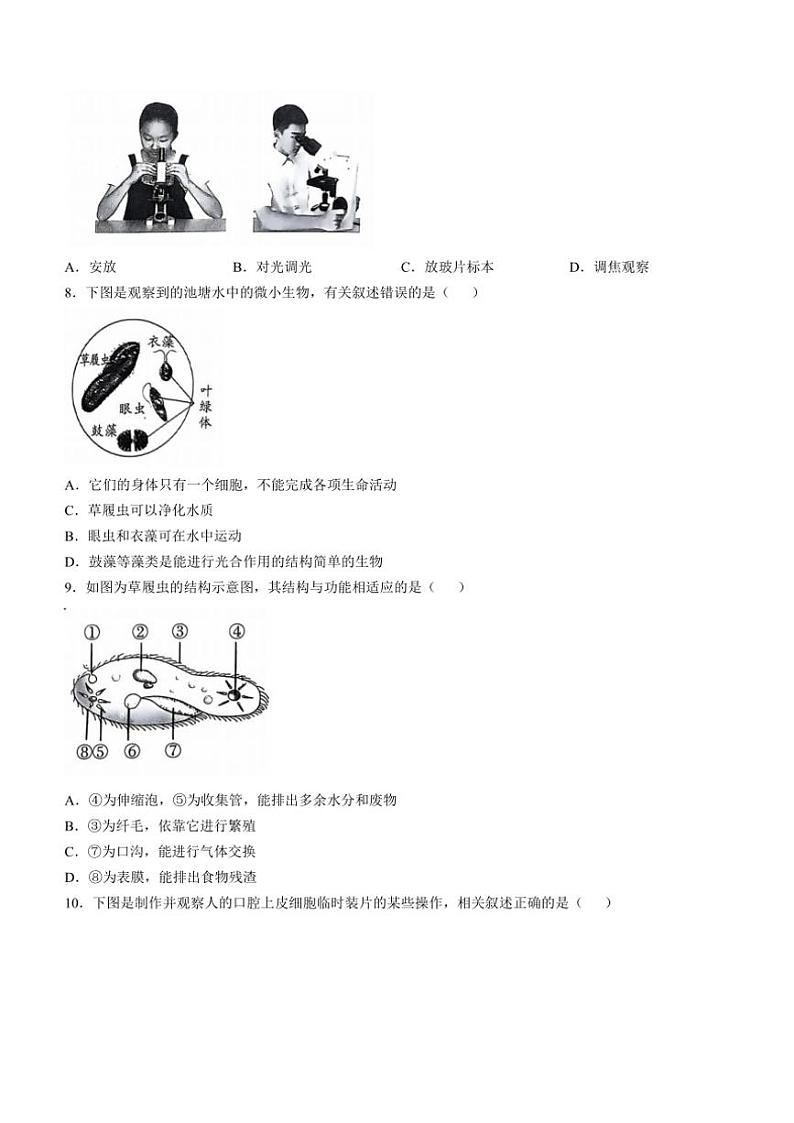 山西省吕梁市孝义市2024～2025学年七年级(上)期中生物试卷(含答案)02