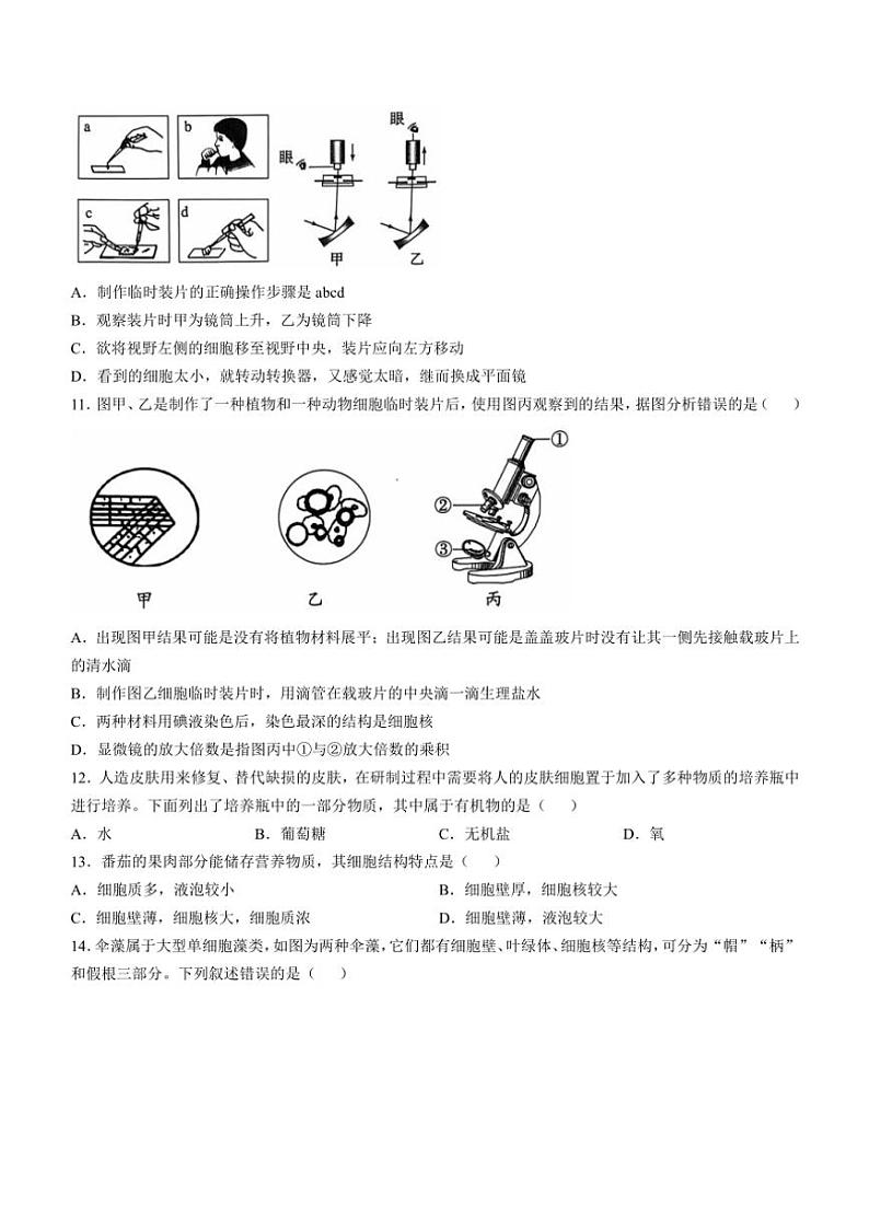 山西省吕梁市孝义市2024～2025学年七年级(上)期中生物试卷(含答案)03