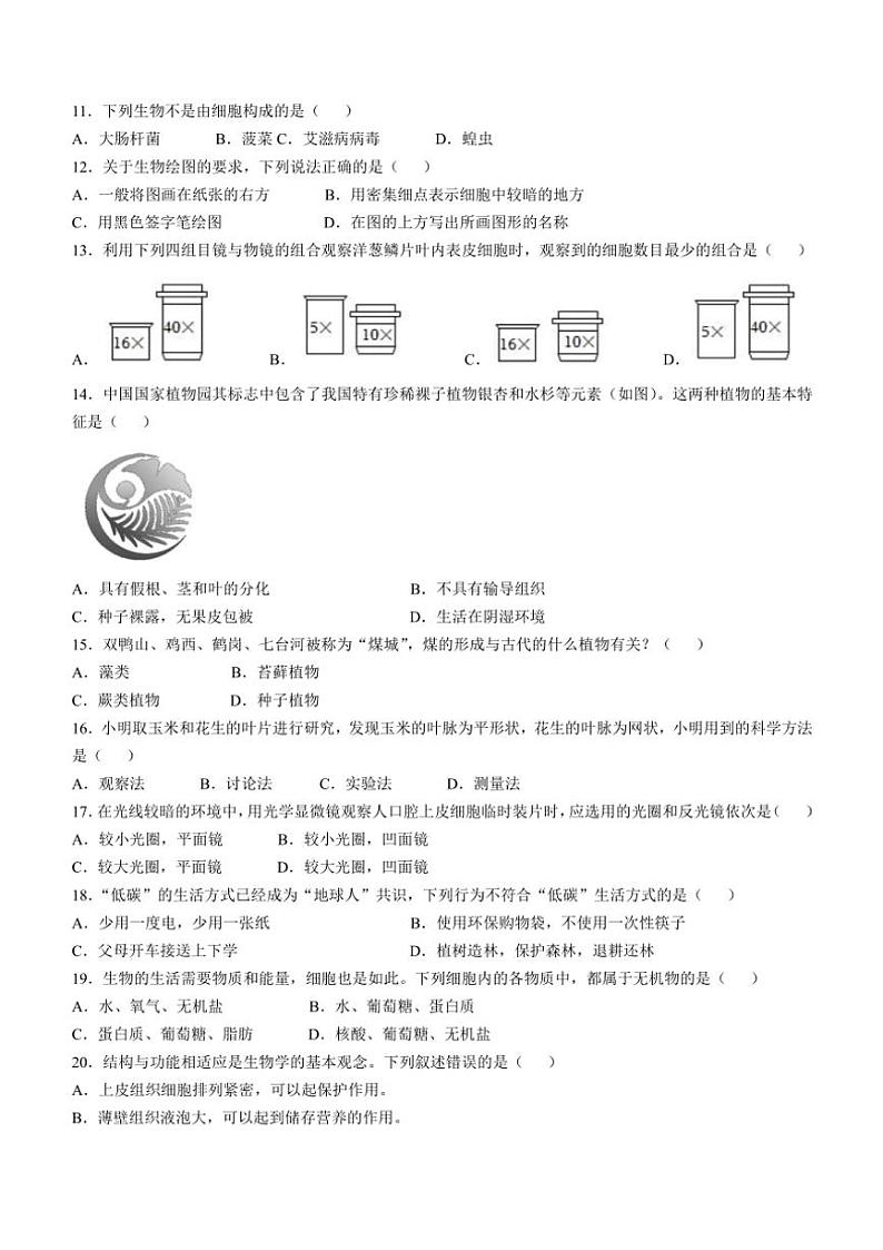 福建省泉州市泉港区2024～2025学年七年级(上)期中生物试卷(含答案)第2页