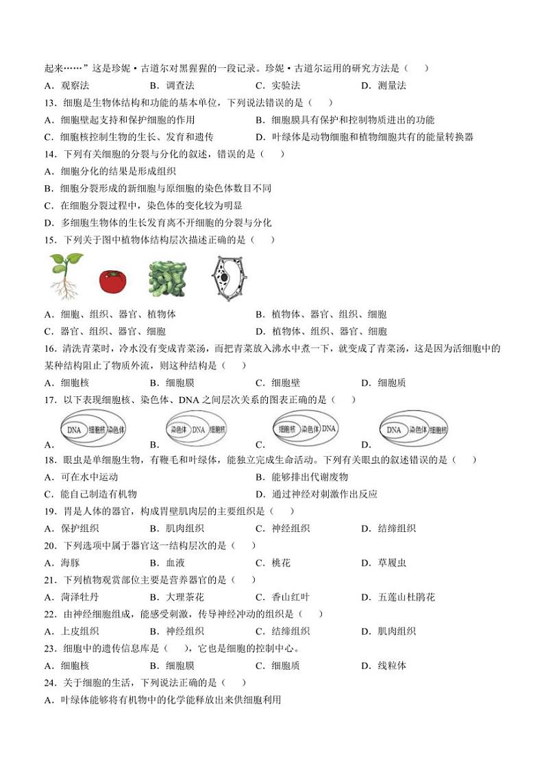 重庆市潼南区初中学校联考2024～2025学年七年级(上)期中生物试卷(含答案)第2页