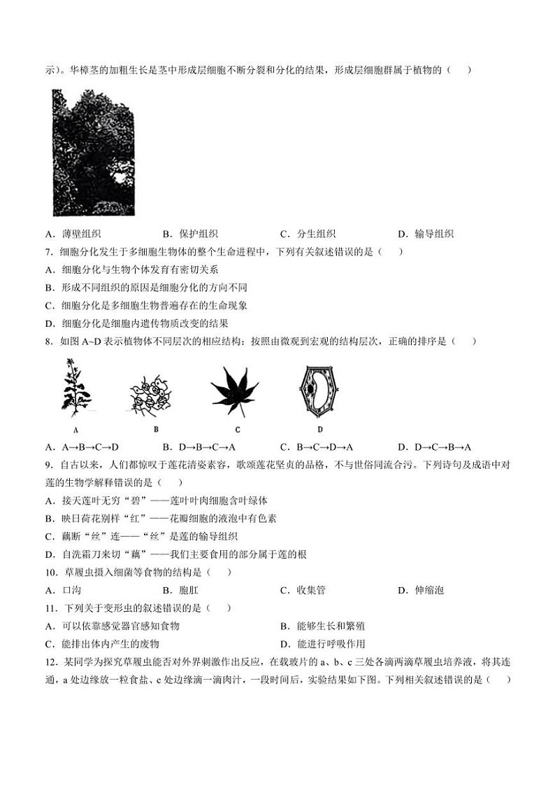 山西省长治市沁县多校联考2024～2025学年七年级(上)期中生物试卷(含答案)02