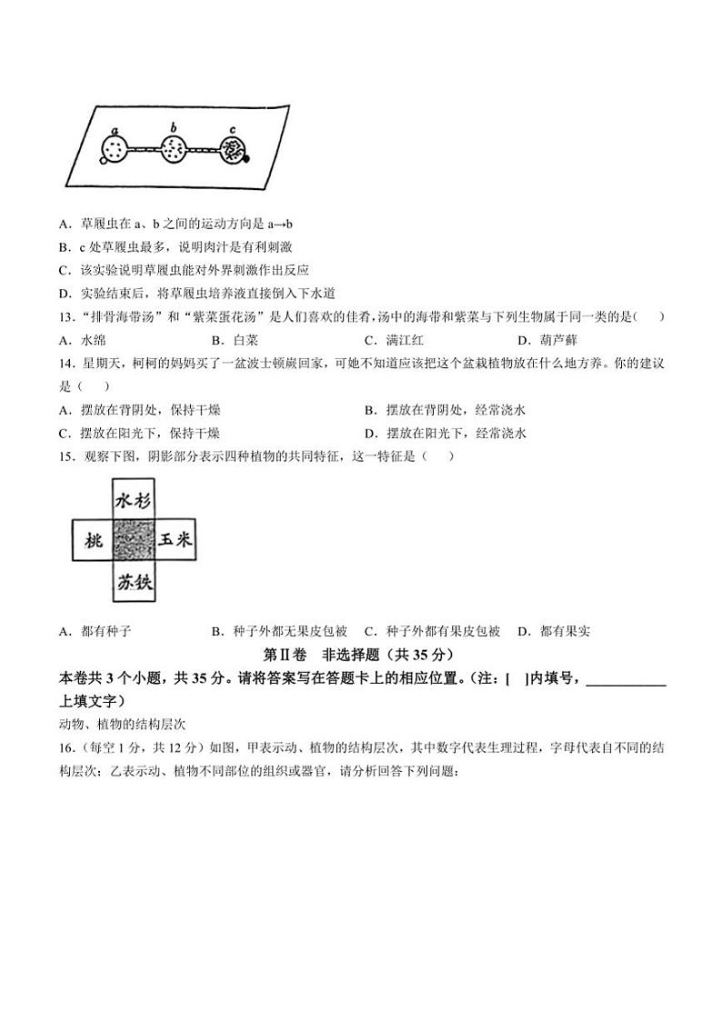 山西省长治市沁县多校联考2024～2025学年七年级(上)期中生物试卷(含答案)03