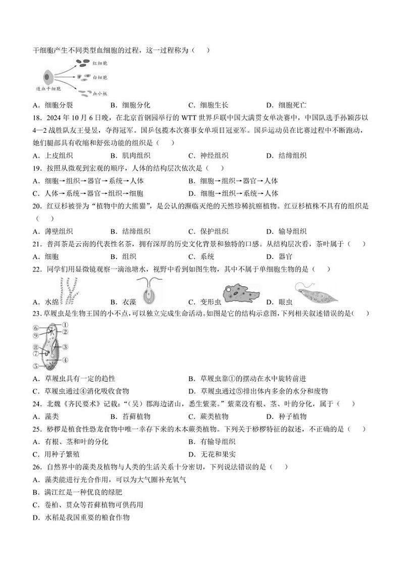 云南省曲靖市2024～2025学年七年级(上)期中生物试卷(含答案)第3页
