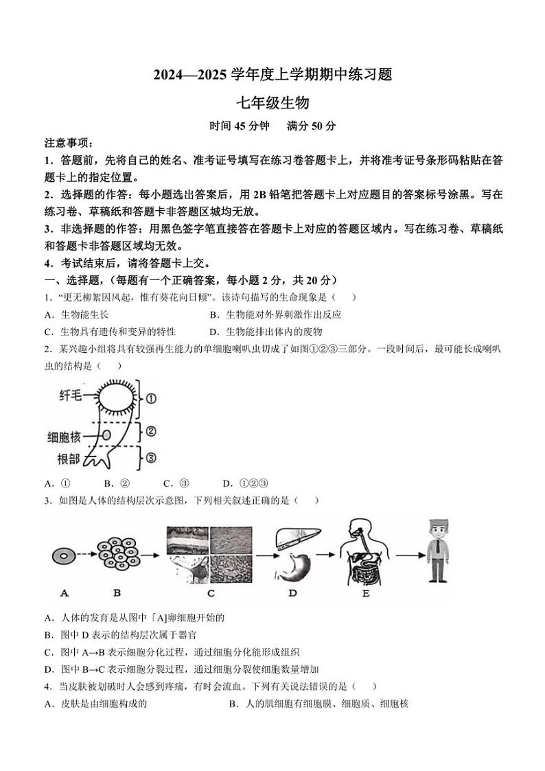 湖北省荆门市沙洋县2024～2025学年七年级(上)期中生物试卷(含答案)第1页