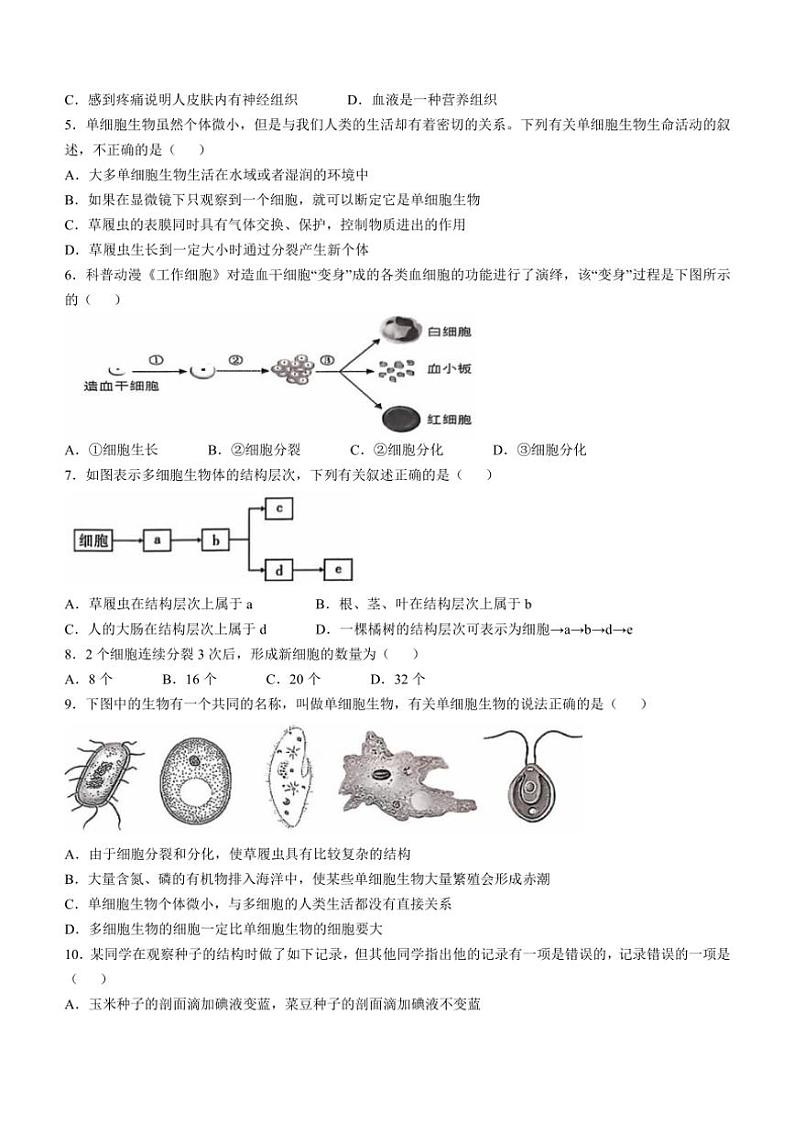 湖北省荆门市沙洋县2024～2025学年七年级(上)期中生物试卷(含答案)第2页