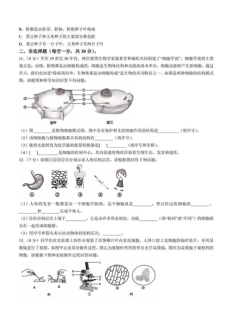 湖北省荆门市沙洋县2024～2025学年七年级(上)期中生物试卷(含答案)第3页