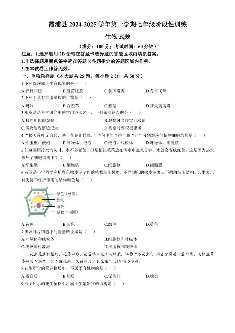 福建省宁德市霞浦县2024～2025学年七年级(上)期中生物试卷(含答案)01