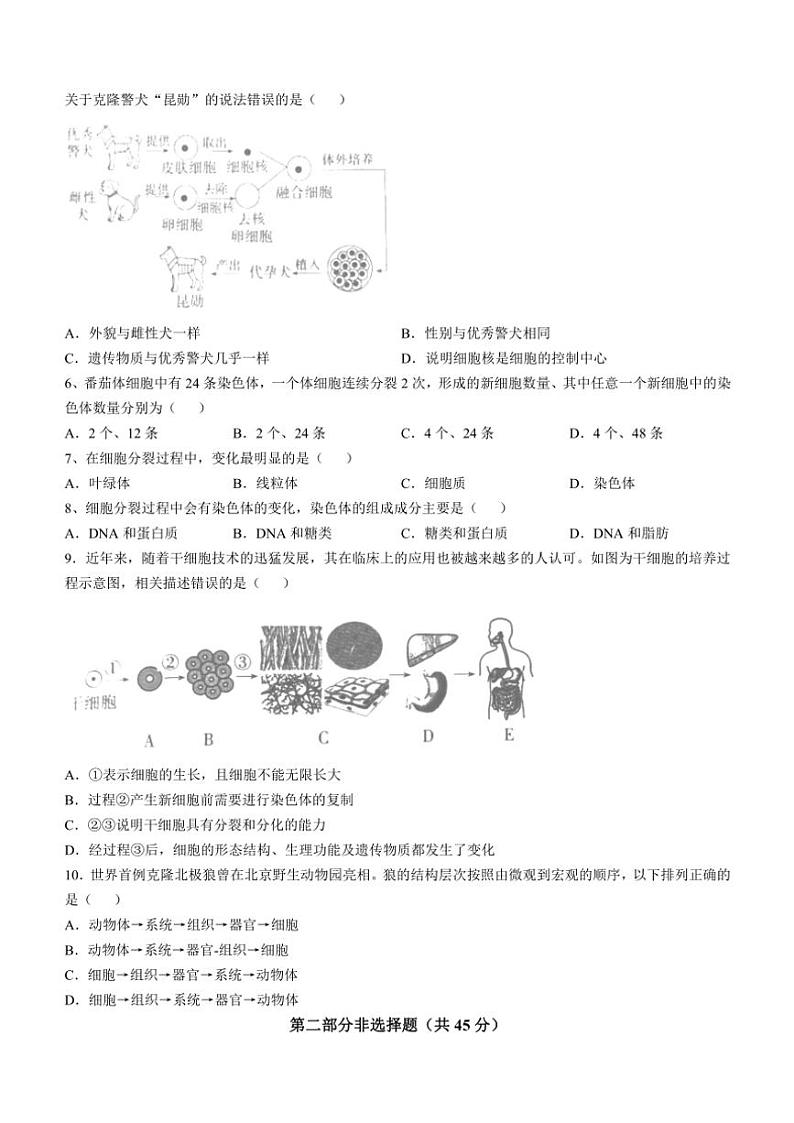 四川省泸州市泸县二中集团联考2024～2025学年七年级(上)期中生物试卷(含答案)02