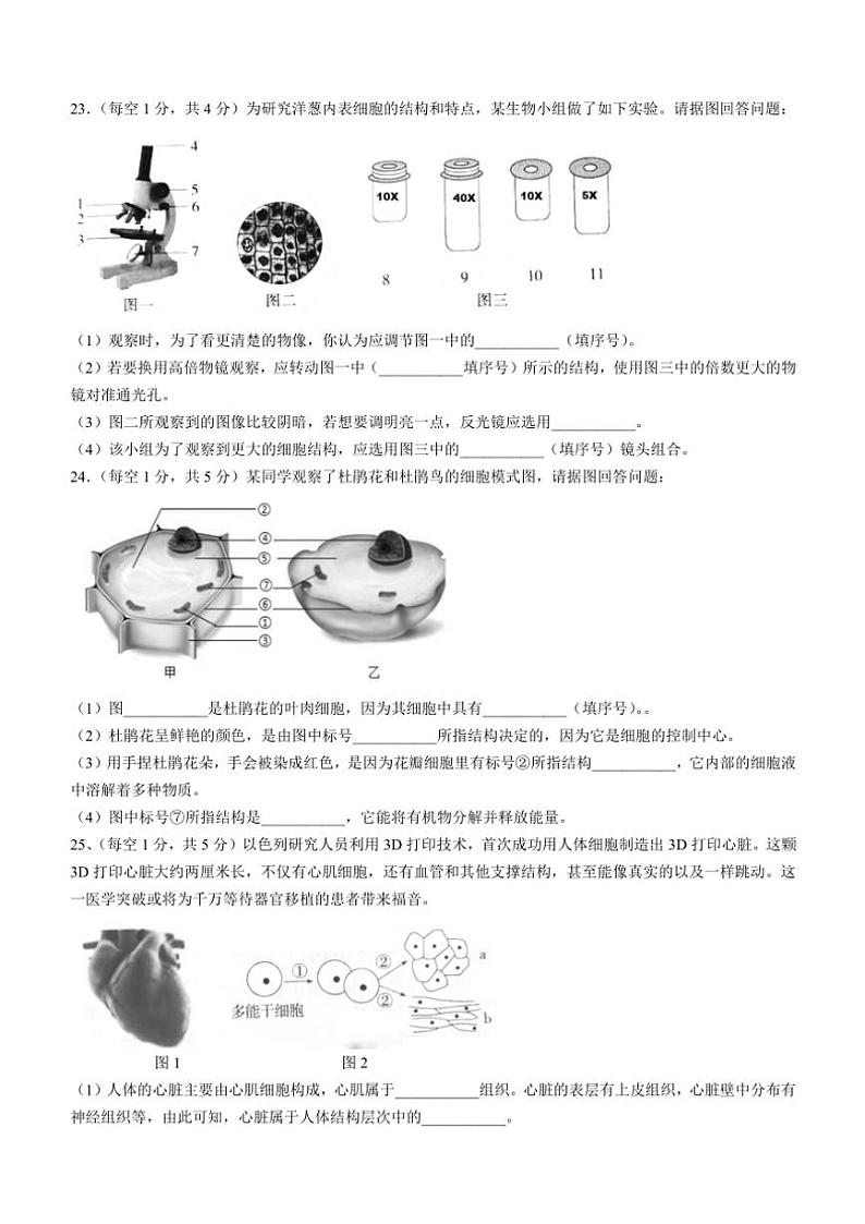四川省泸州市泸县二中集团联考2024～2025学年七年级(上)期中生物试卷(含答案)03