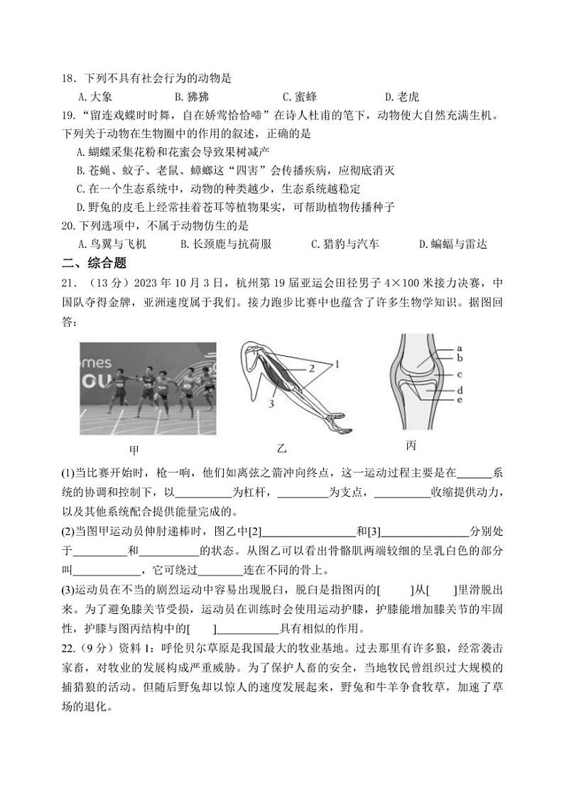 河南省新乡市原阳县2024～2025学年八年级(上)期中生物试卷(含答案)03