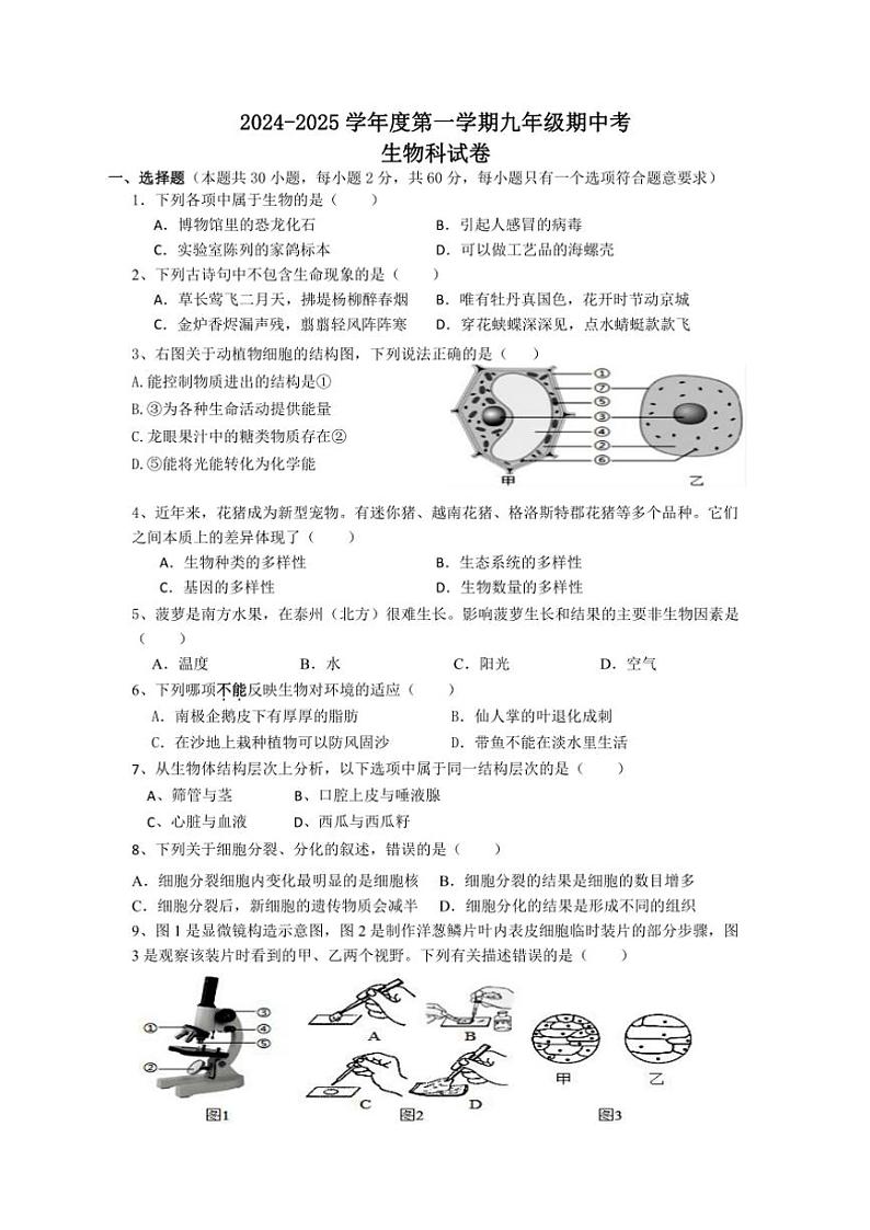 广东省揭阳市揭西县2024～2025学年九年级(上)期中生物试卷(含答案)01