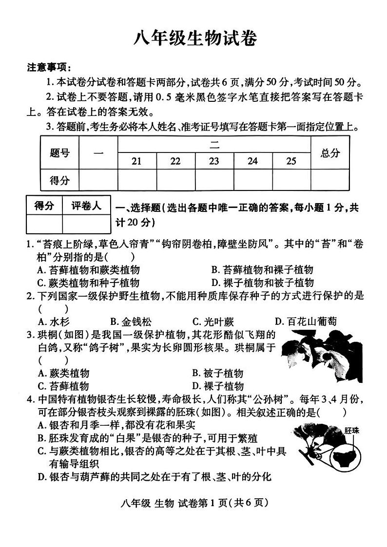 河南省洛阳市伊滨区、瀍河区2024-2025学年八年级上学期期中考试生物试题第1页
