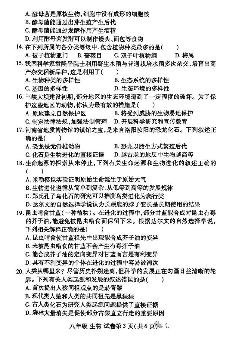 河南省洛阳市伊滨区、瀍河区2024-2025学年八年级上学期期中考试生物试题第3页