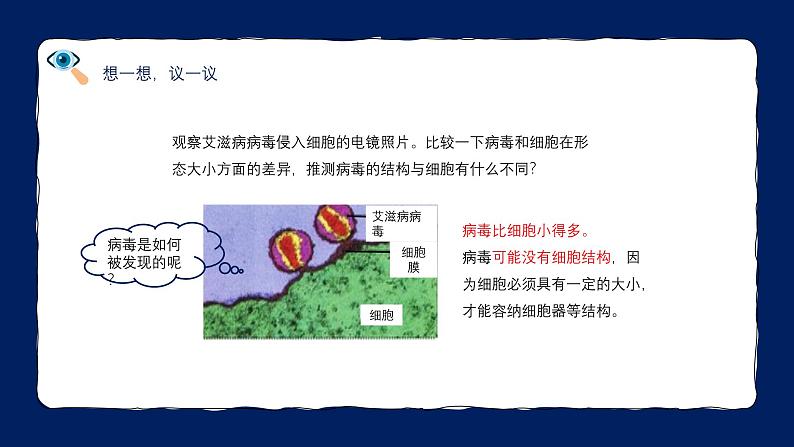 人教版（2024）七年级生物上册第二单元3.4病毒精品课件第6页