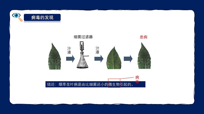 人教版（2024）七年级生物上册第二单元3.4病毒精品课件第8页