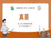 人教版（2024）七年级生物上册第二单元3.3真菌精品课件