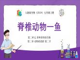 人教版（2024）七年级生物上册第二单元2.2脊椎动物一 鱼精品课件