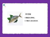 人教版（2024）七年级生物上册第二单元2.2脊椎动物一 鱼精品课件
