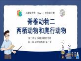 人教版（2024）七年级生物上册第二单元2.2脊椎动物二 两栖动物和爬行动物精品课件