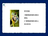 人教版（2024）七年级生物上册第二单元2.2脊椎动物二 两栖动物和爬行动物精品课件
