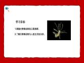 人教版（2024）七年级生物上册第二单元2.1无脊椎动物精品课件