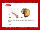 人教版（2024）七年级生物上册第二单元2.1无脊椎动物精品课件