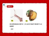 人教版（2024）七年级生物上册第二单元2.1无脊椎动物精品课件