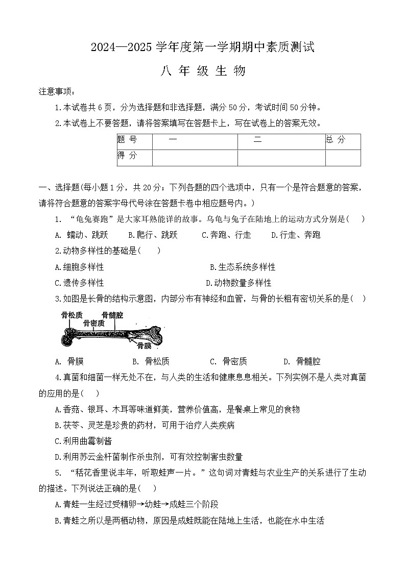 河南省驻马店市西平县2024-2025学年八年级上学期期中生物学试题 - 副本第1页