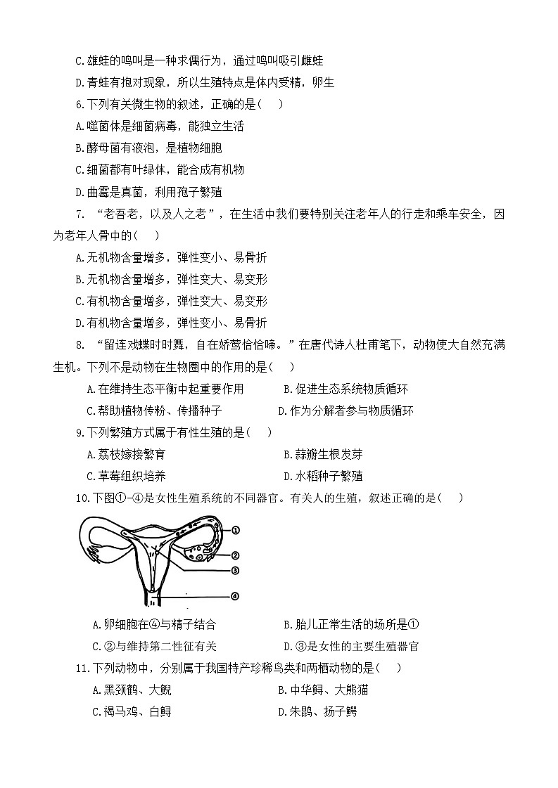 河南省驻马店市西平县2024-2025学年八年级上学期期中生物学试题 - 副本第2页