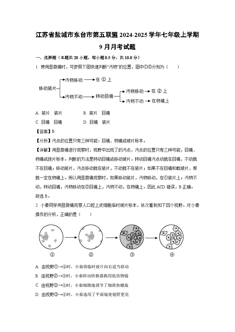 江苏省盐城市东台市第五联盟2024-2025学年七年级上学期9月月考生物试卷(解析版)第1页
