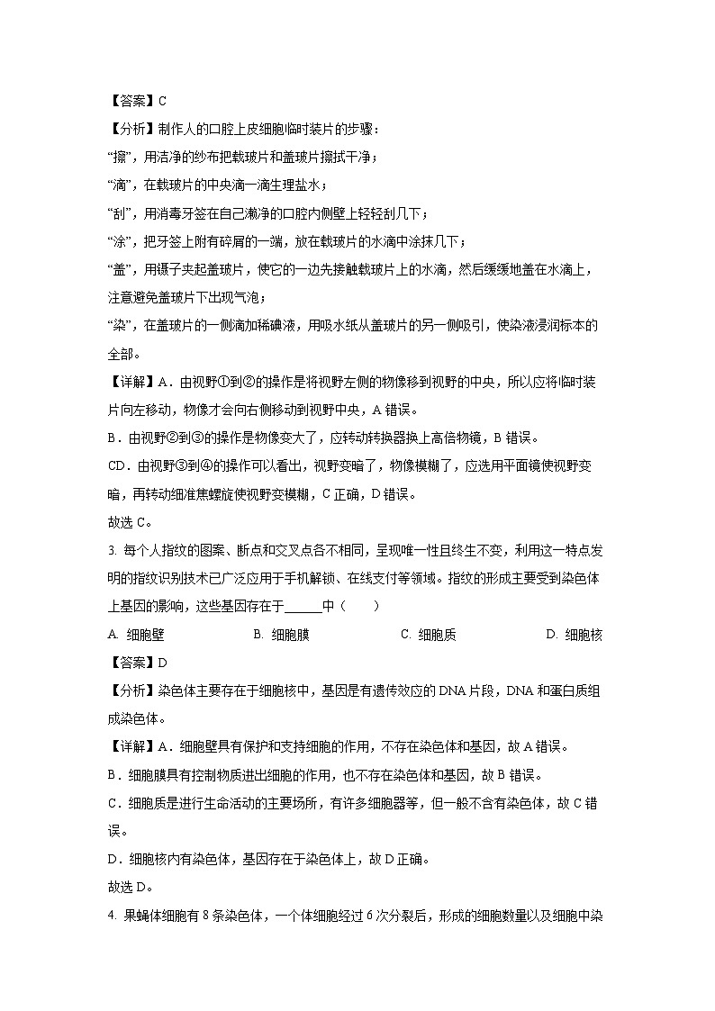 江苏省盐城市东台市第五联盟2024-2025学年七年级上学期9月月考生物试卷(解析版)第2页