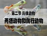 人教版生物七年级上册2.2《两栖动物与爬行动物》（课件）