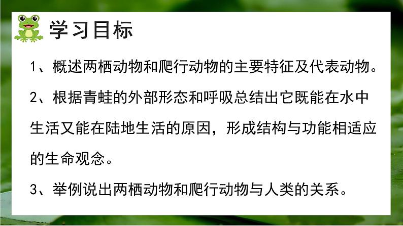 人教版生物七年级上册2.2《两栖动物与爬行动物》（课件）第2页