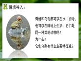 人教版生物七年级上册2.2《两栖动物与爬行动物》（课件）