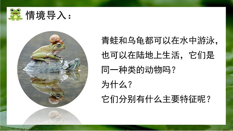 人教版生物七年级上册2.2《两栖动物与爬行动物》（课件）第3页