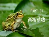 人教版生物七年级上册2.2《两栖动物与爬行动物》（课件）