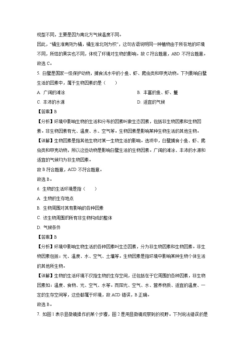 江苏省徐州市新沂市2023-2024学年七年级上学期期中生物试卷(解析版)第3页